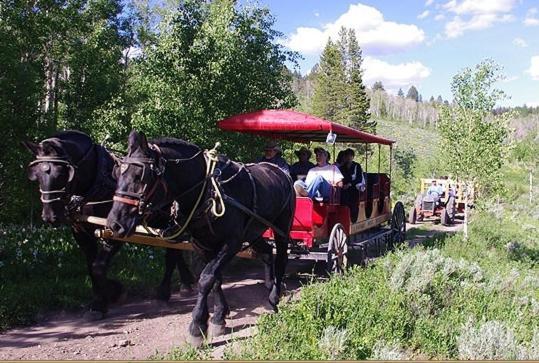 Parade Rest Ranch Hotel West Yellowstone Eksteriør billede